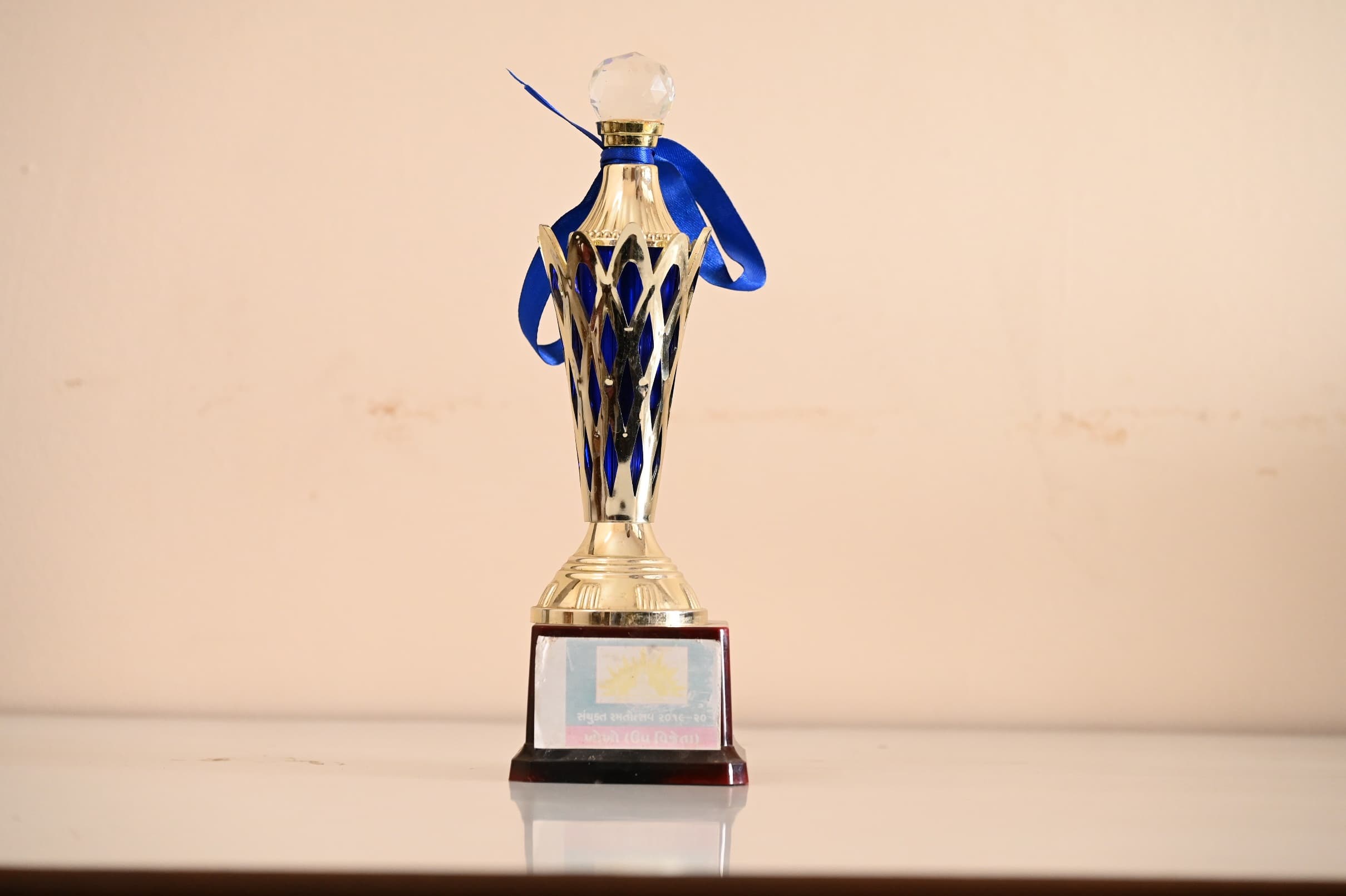 ખો-ખો સ્પર્ધામાં પ્રથમ